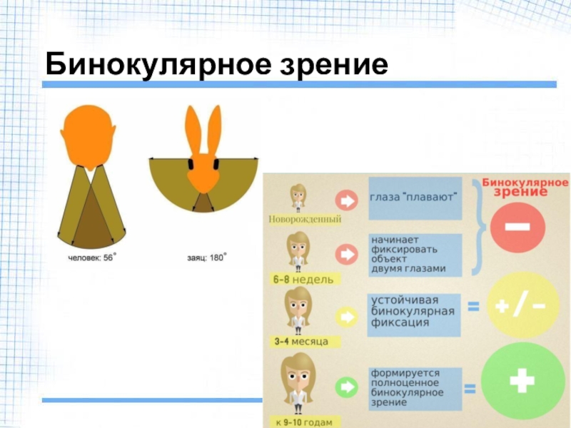 Презентация заболевания глаз 8 класс