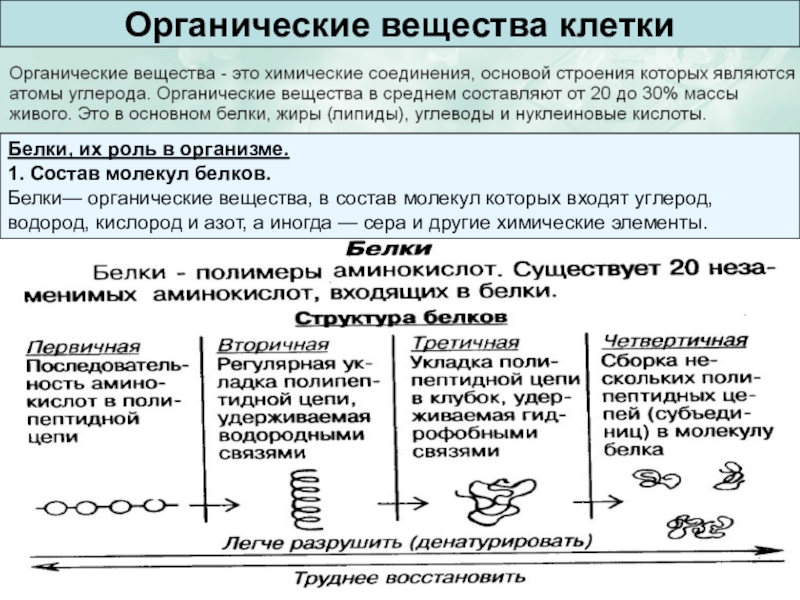 Химический состав клетки 10 класс презентация