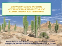 Презентация занятия Путешествие с комнатными растениями по пустыне