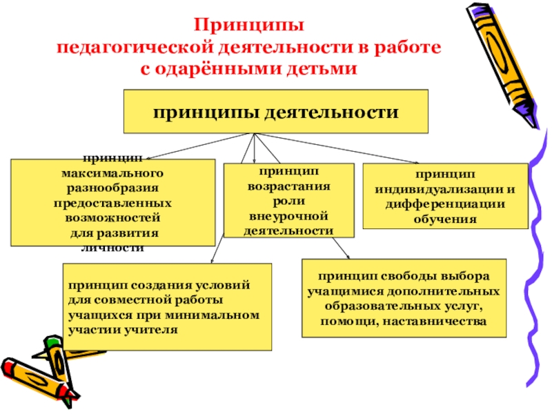 Принципы педагогической деятельности. Принципы работы с одаренными детьми. Идеи работы с одаренными детьми. Принципы работы с одаренными детьми в ДОУ.