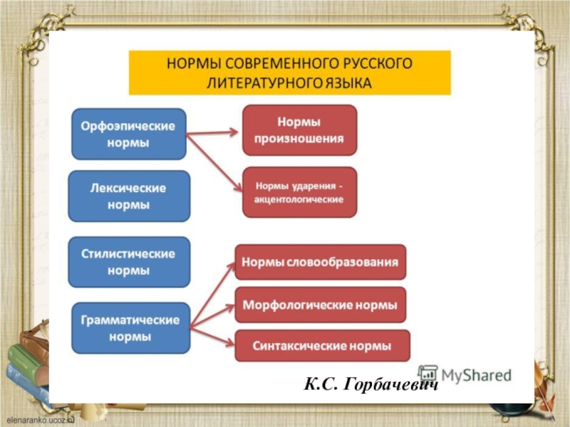 Нормы современного русского языка картинки