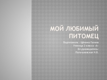 Индивидуальный проект ученика по внеурочной деятельности на тему Мой любимый питомец