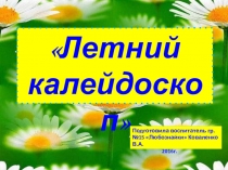 Презентация ЛЕТНЕЙ ОЗДОРОВИТЕЛЬНОЙ КОМПАНИИ В ДОУ Летний калейдоскоп