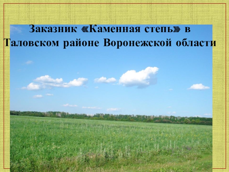 Погода каменная степь таловского воронежской. Каменная степь Таловский район. Заповедник каменная степь Таловский район. Заказник каменная степь в Таловском районе Воронежской области. Заповедники Таловского района.