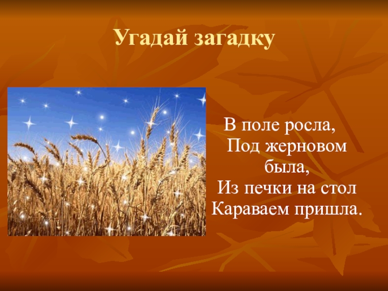 Загадка поле. Загадки о поле. Загадка про поле для детей. Русские народные загадки о поле. Загадка про русское поле.