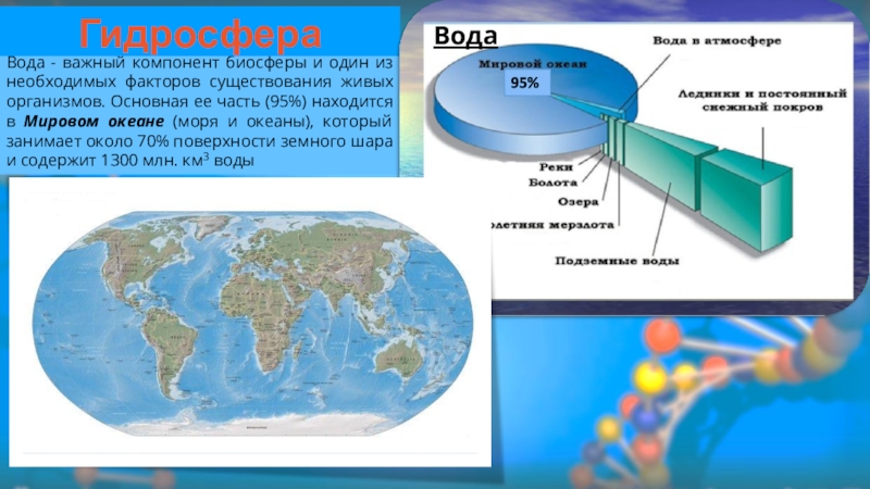 Проект биосфера 9 класс