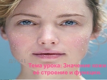 Презентация  Значение кожи её строение и функции