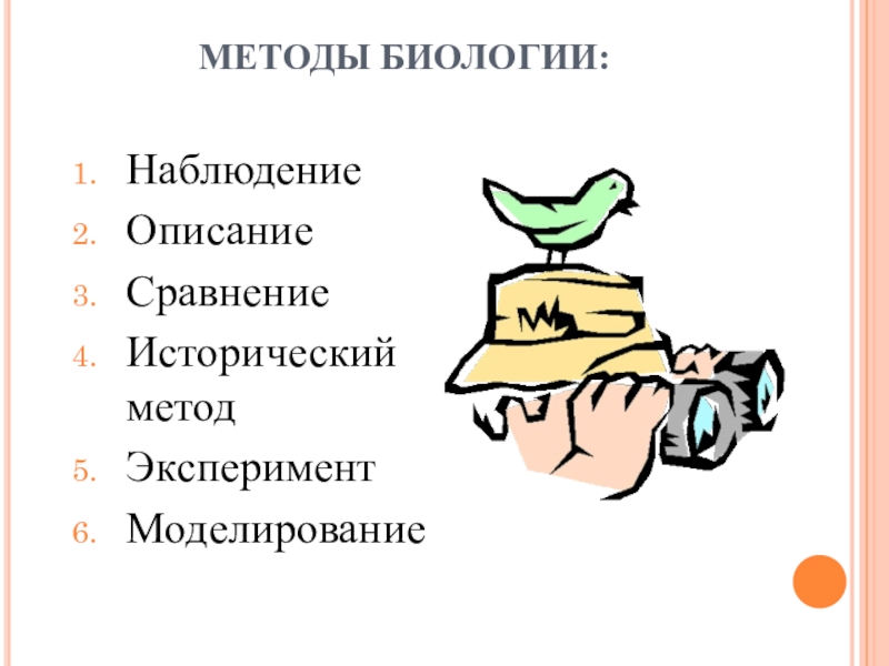 Описание наблюдение. Наблюдение это в биологии. Наблюдение ТВ биологии. Виды наблюдения в биологии. Метод наблюдения в биологии рисунок.