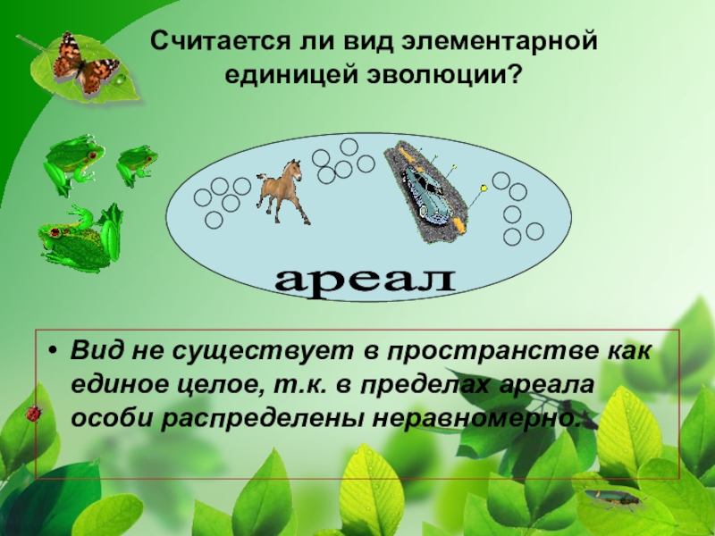 Популяция как основная единица эволюции презентация 10 класс пономарева