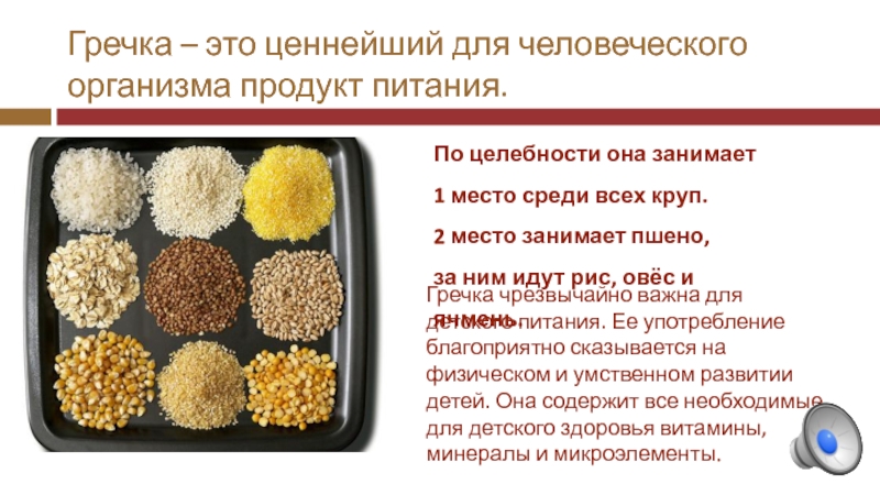 Гречка – это ценнейший для человеческого    организма продукт питания. По целебности она занимает 1