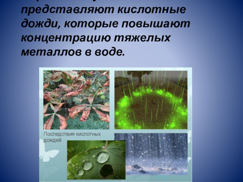 Загрязнение воды презентация обж 8 класс