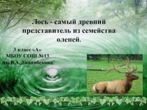 Проект для научно-практической конференции Дети исследуют мир. ( 3 класс)