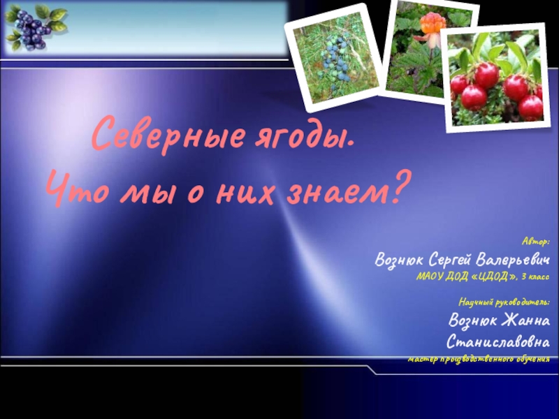 Северные ягоды. Что мы о них знаем?