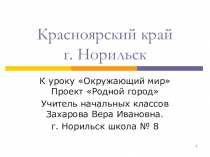 Урок Окружающий мир, Проект Родной город