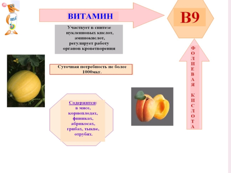 Презентация на тему витамины 8 класс биология