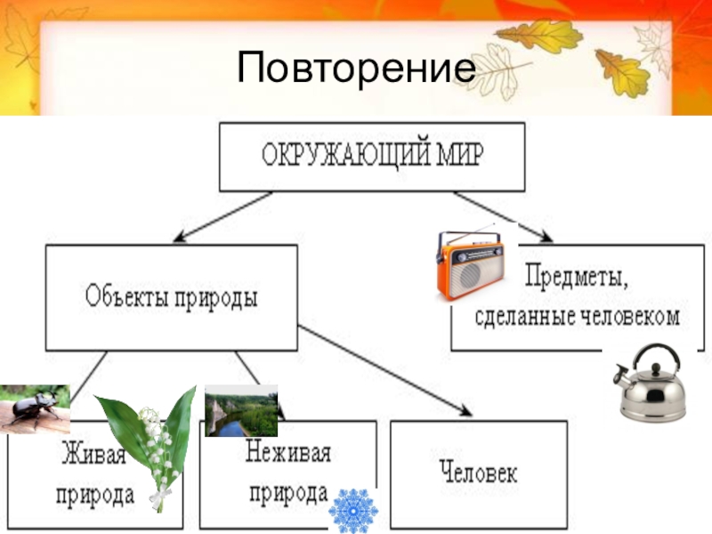 Окружающий мир 4 класс повторение изученного презентация