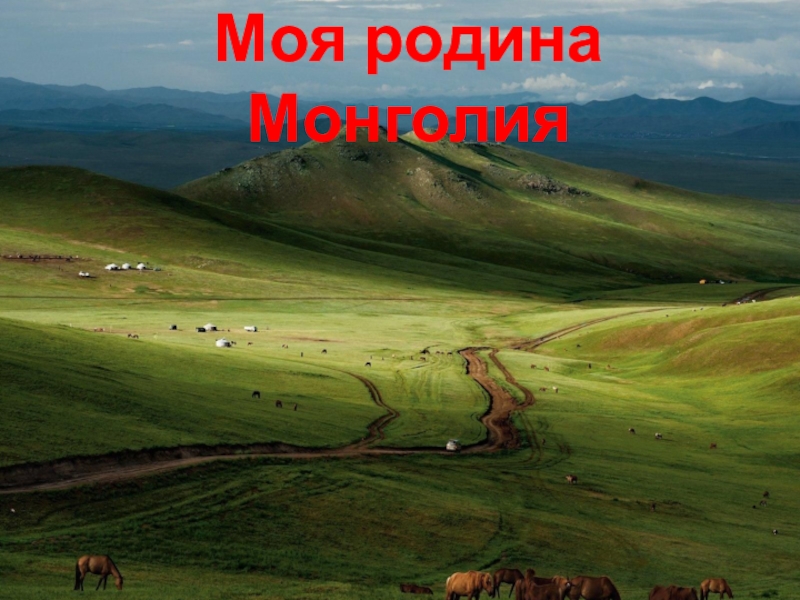 Презентация Экологокраеведческий проект  Моя родина Монголия