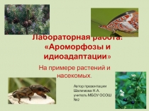 Презентация: Ароморфозы и идиоадаптации