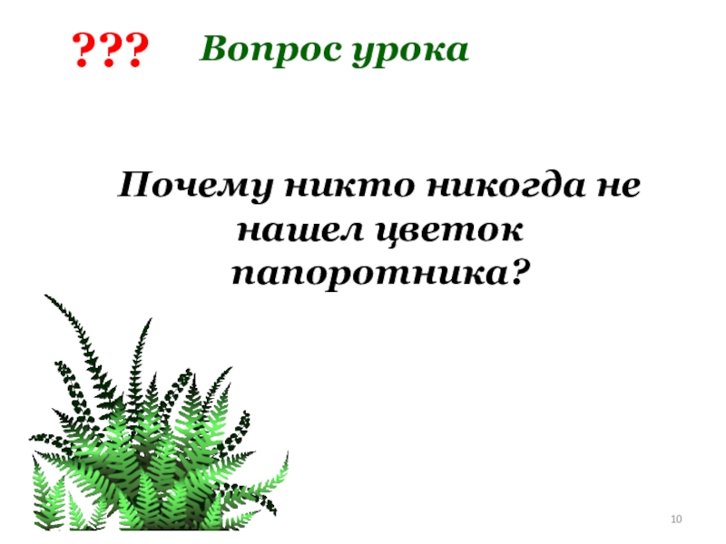 Презентация папоротниковидные 6 класс биология