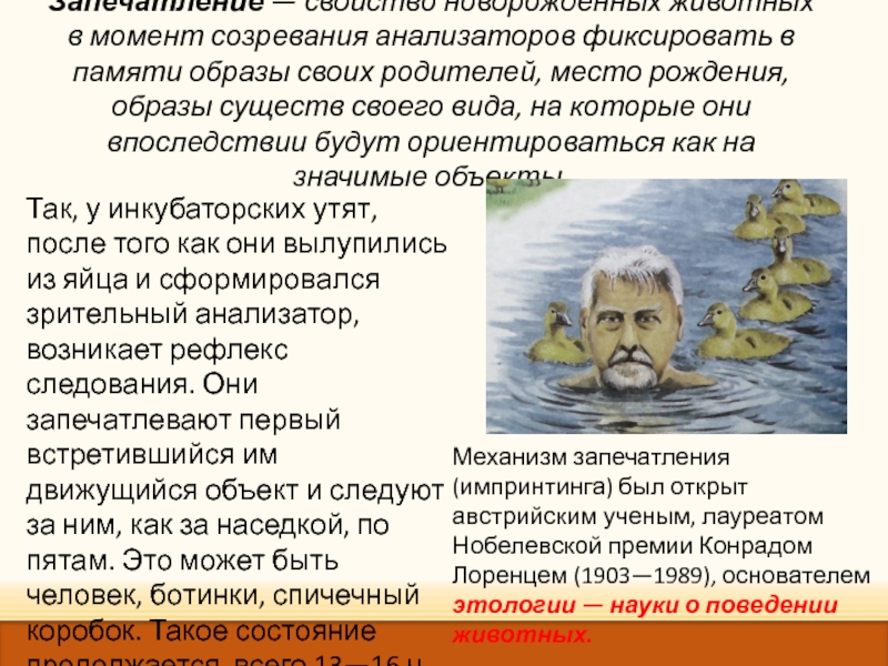 Презентация по биологии 8 класс врожденные и приобретенные программы поведения