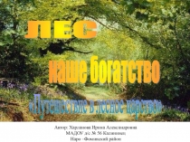 Презентация по экологии Лес - наше богатство