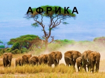 Презентация по окружающему миру Африка