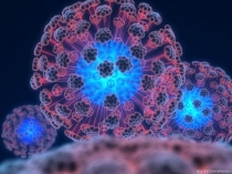 Презентация по биологии Вирусы