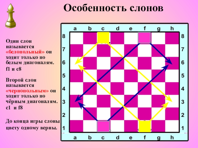 Шахматы 1 класс 1 урок презентация