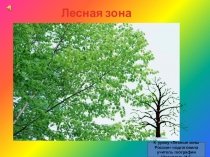 Презентация Лесные зоны России (8 класс)