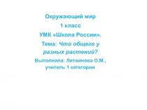 Презентация по окружающему миру на тему Что общего у разных растений?