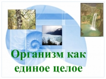 Урок №1. Организм. Система органов. Целостность организма. Презентация.