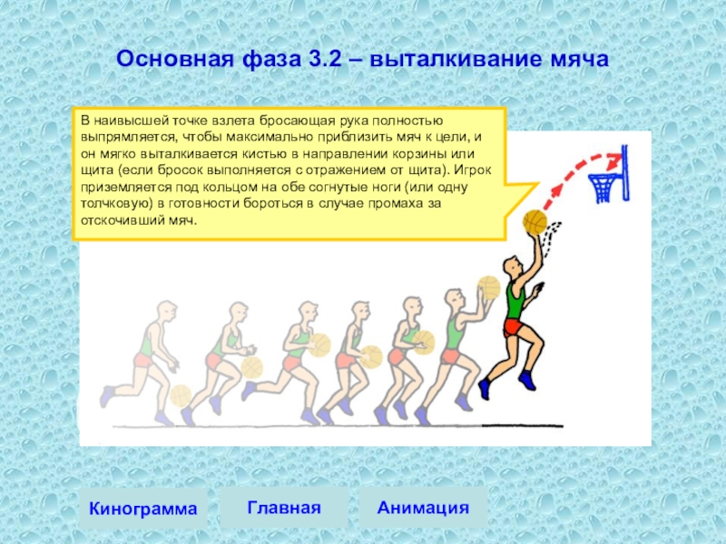 Проект баскетбол шаг к здоровью