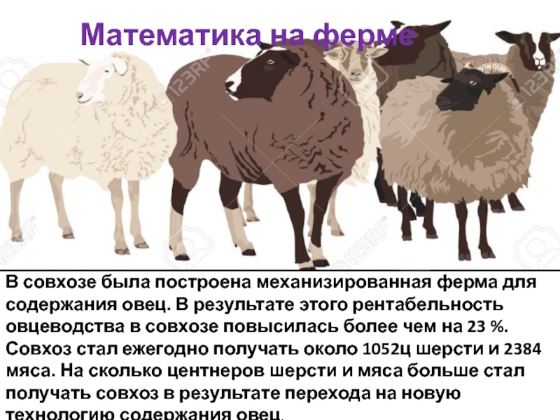 Математика на фермеВ совхозе была построена механизированная ферма для содержания овец. В результате этого рентабельность овцеводства в
