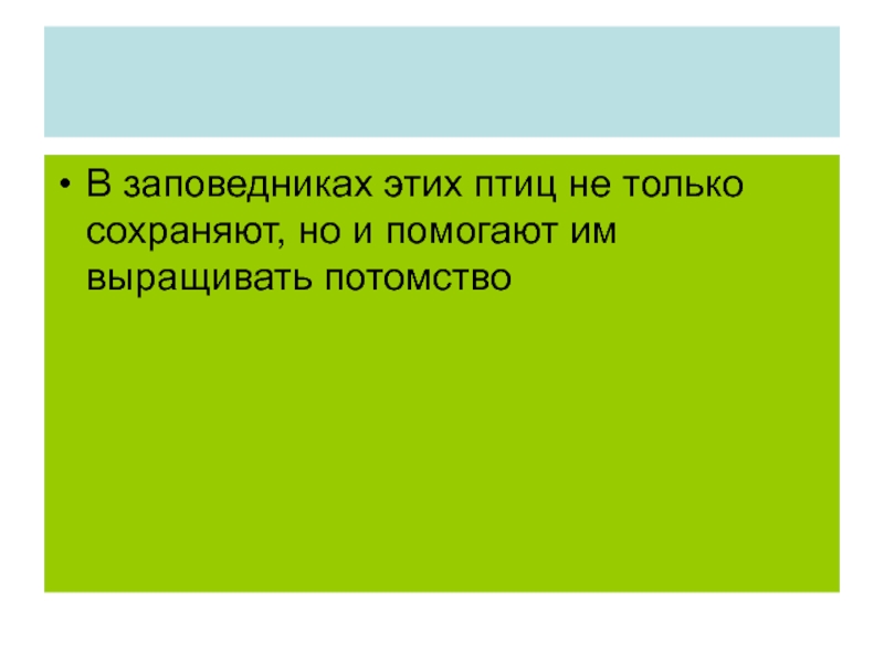 Политика третьего пути презентация