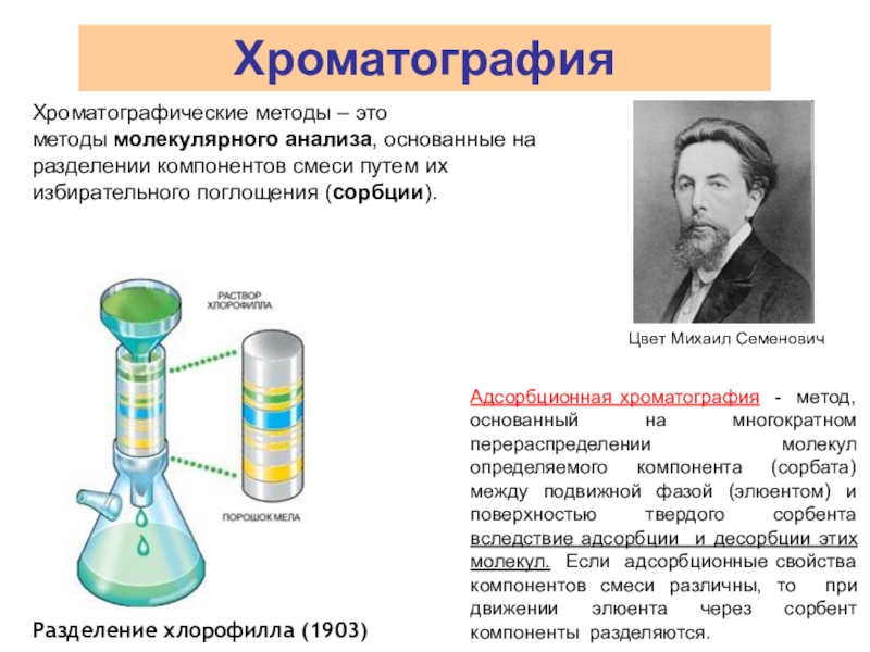 Реферат по химии