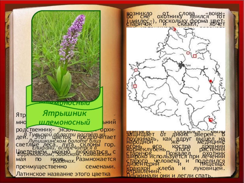 Проект на тему красная книга тульской области