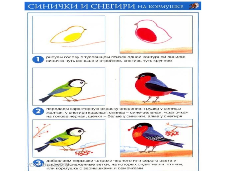 Технологическая карта по рисованию