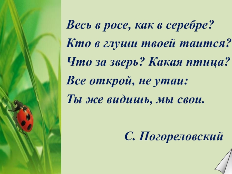 Литературное чтение 2 страшный рассказ. Кто в глуши твоей таится? Что за зверь? Какая птица?. План конспект по чтению страшный рассказ 2 класс. Рисунок на тему страшный рассказ 2 класс литературное чтение. Что значит кто в глуши твои таится.