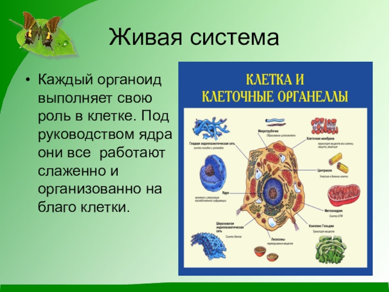 Проект по биологии 10 класс темы