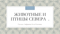 Презентация Животные и птицы севера