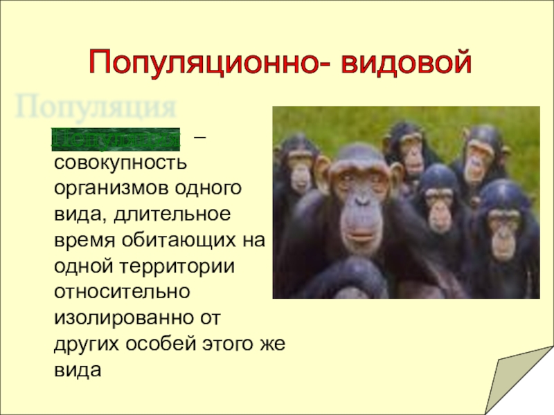 Жизни совокупность. Совокупность организмов обитающих на одной территории. Совокупность организмов одного вида. Организмы одного вида на одной территории. Особи обитающие на одной разного вида.