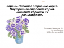 Презентация Корень. Значение и виды корней.