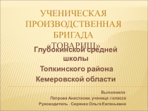 Презентация исследовательской работы на тему: Производственная бригада Товарищ