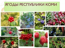 Презентация Ягоды Республики Коми