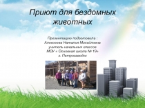 Презентация к проекту  Приют для бездомных животных