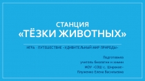 Методическая разработка открытого мероприятия Тезки животных