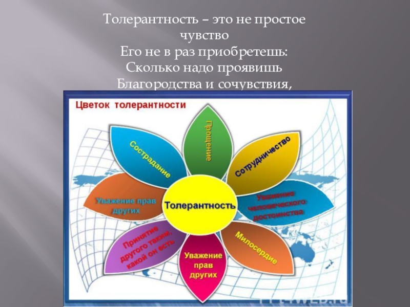 Толерантность простыми словами. Толерантность. Толерантность это простыми словами. Толерантность понятие для детей. Толерантность это простыми словами для детей.