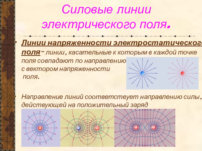 Линии напряженности 1 положительного заряда