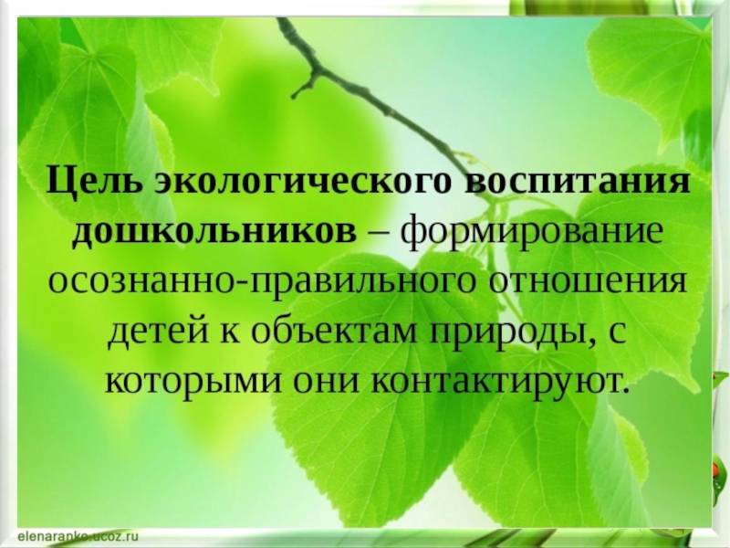 Природная цель. Экологическое воспитание дошкольников. Цель экологического воспитания. Цели и задачи экологического воспитания. Экологическое воспитание и образование цель.