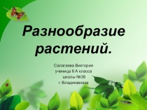 Презентация по биологии на тему Разнообразие растений